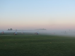 Foggy Morn